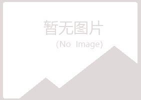 丽水字迹化学有限公司